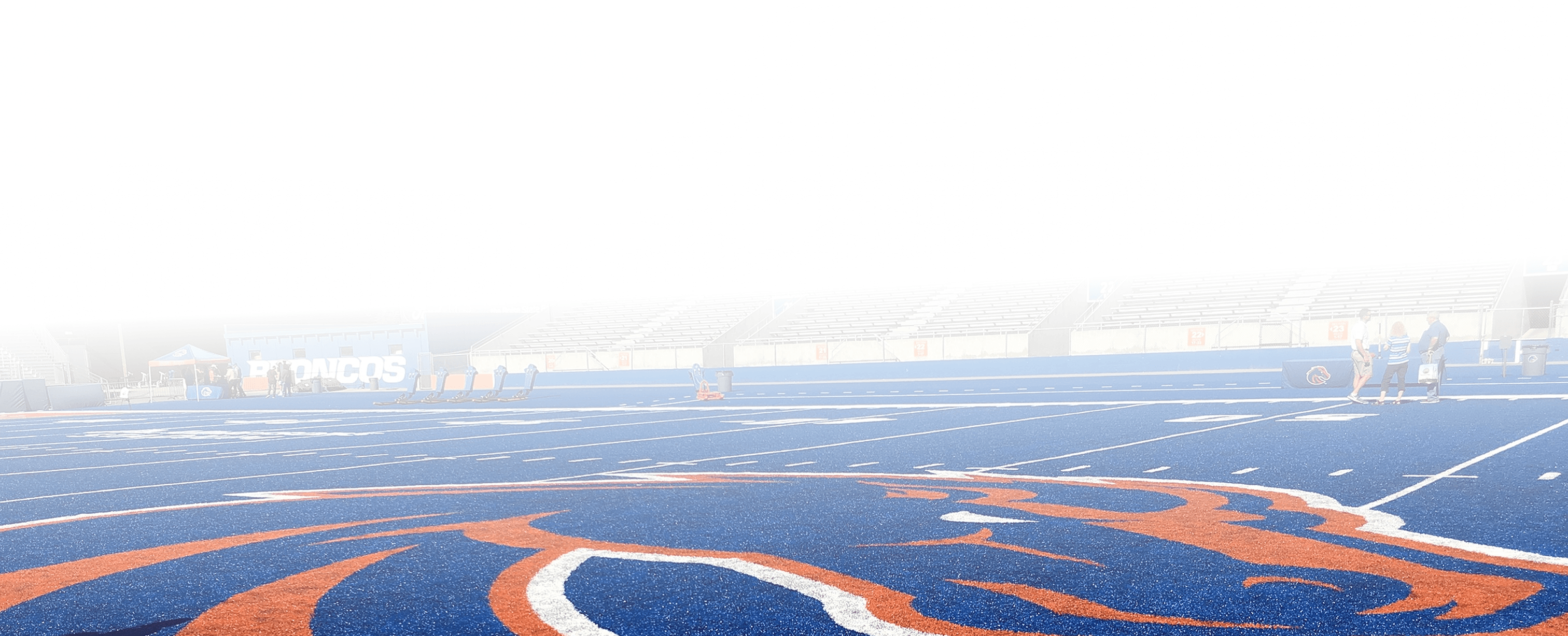 Boise Turf